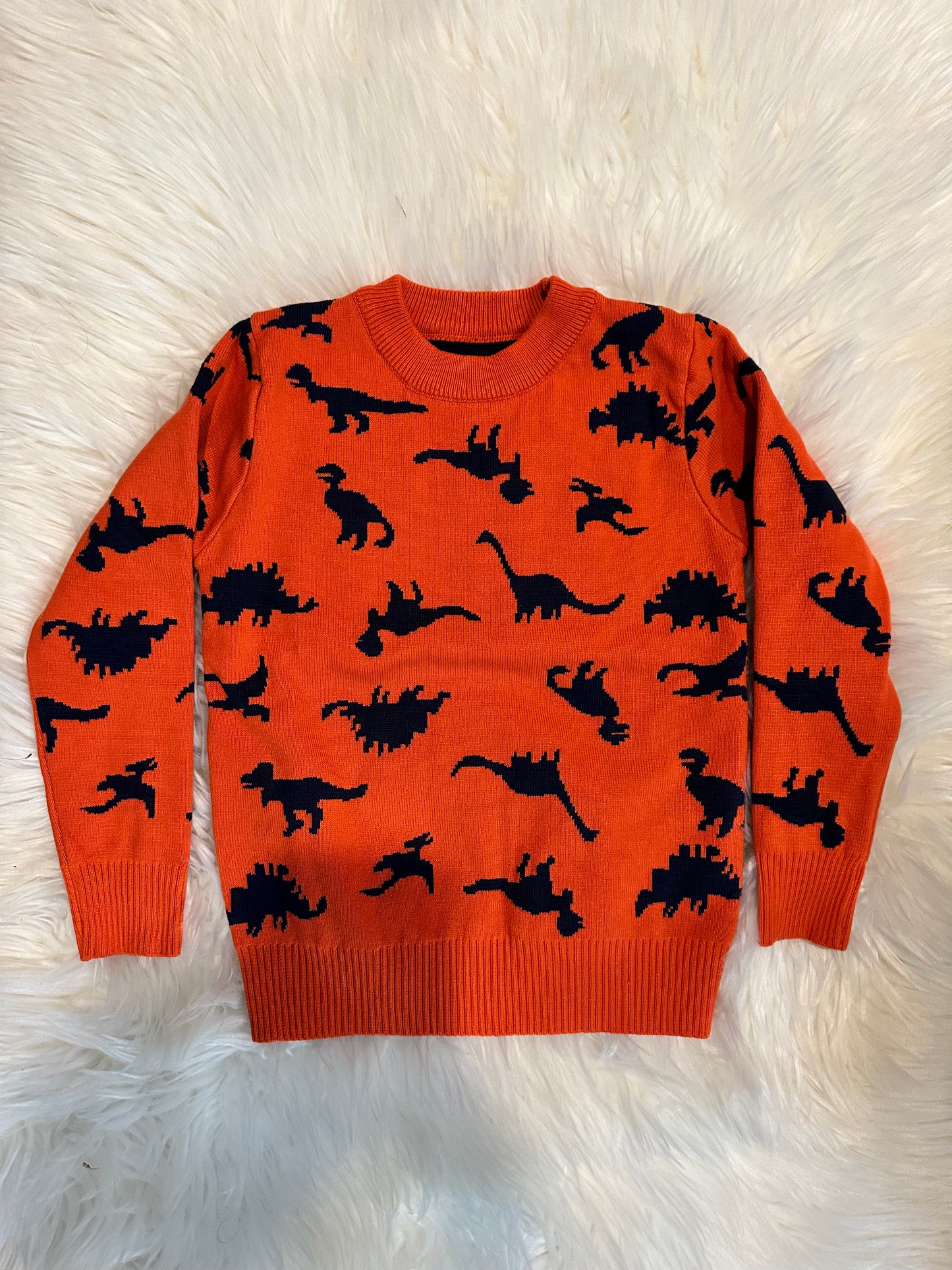 Dinasour sweater (Heavy)