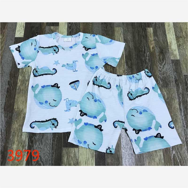 Boys Whales Shorts Set