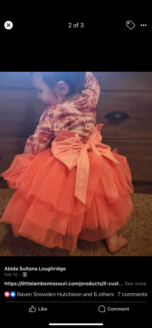 Easter bunny tulle dress custom RTS