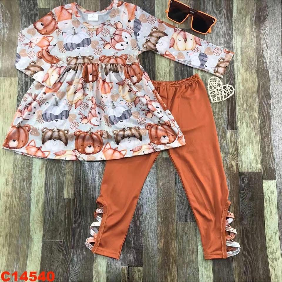 September-preorder-2025-clearance-pumpkins best dress with orange pants