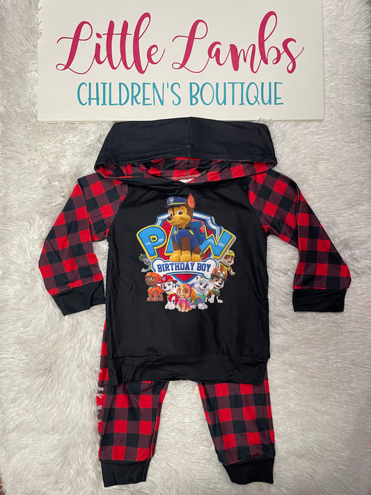 Boy’s Paw Patrol Birthday